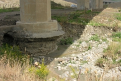 DSCN5393